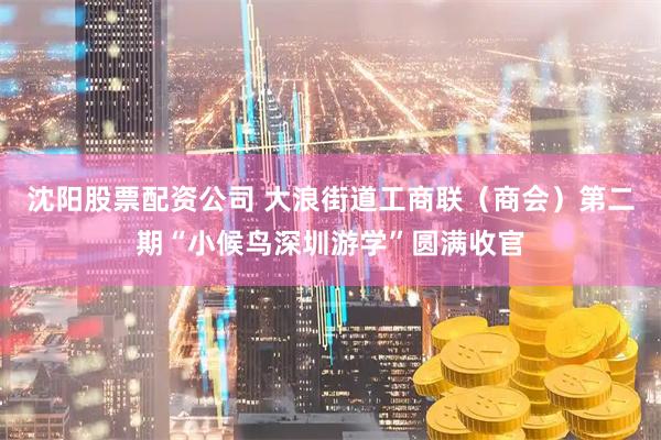 沈阳股票配资公司 大浪街道工商联（商会）第二期“小候鸟深圳游学”圆满收官